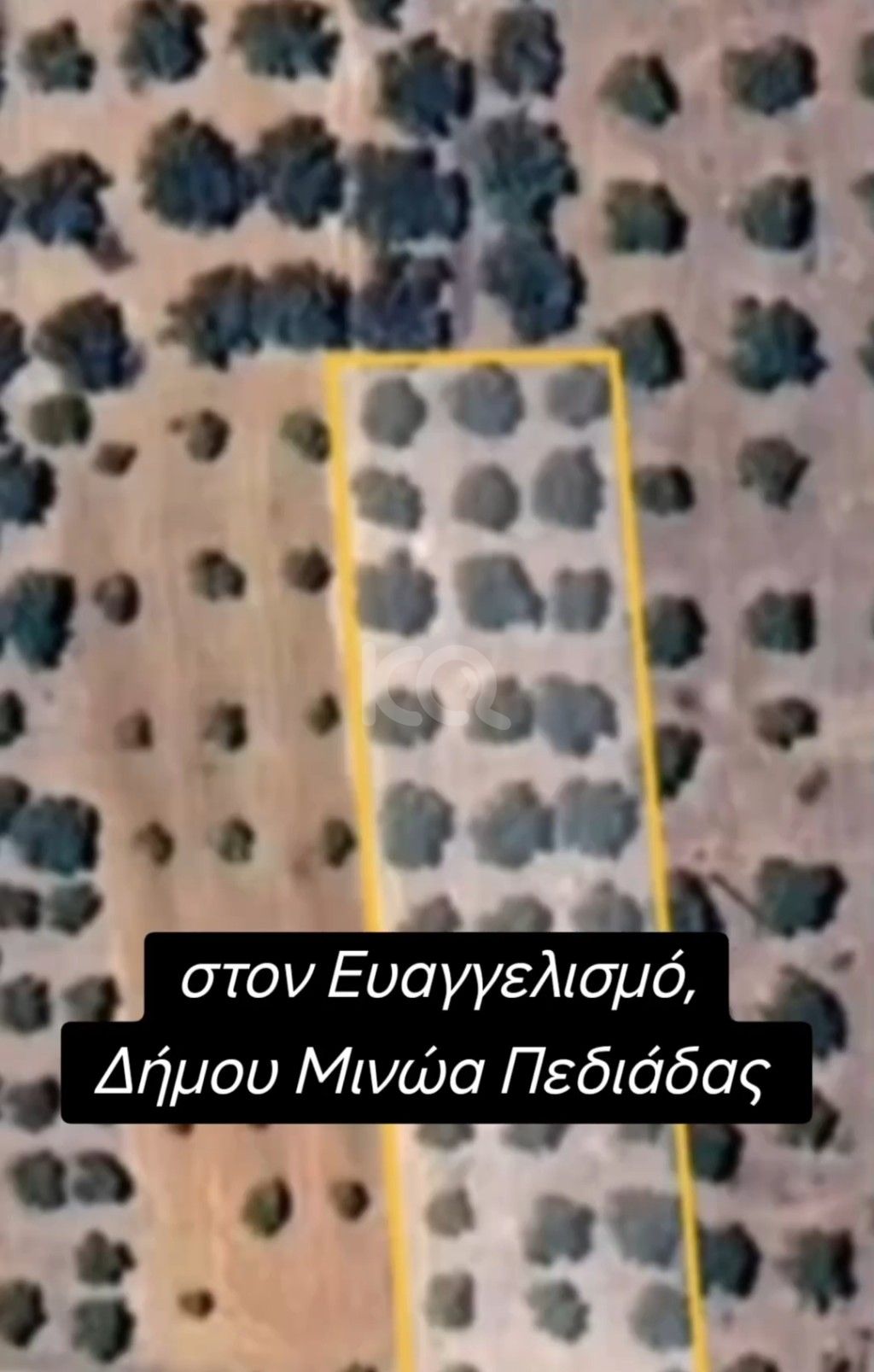 εικόνα αγγελίας