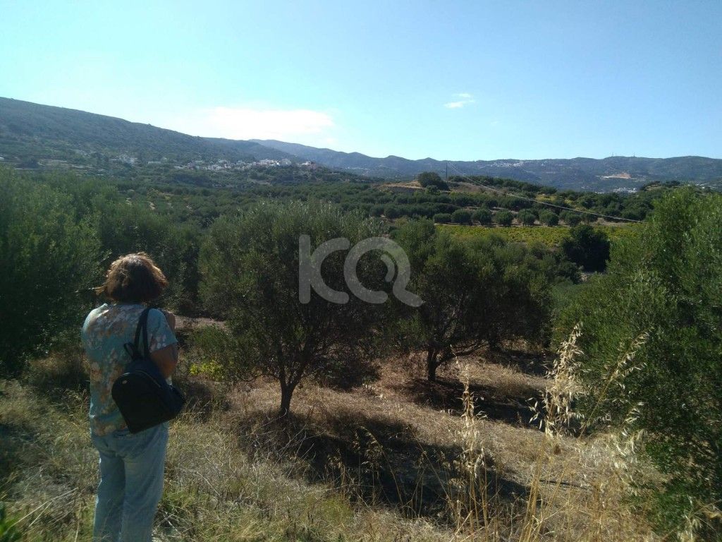 εικόνα αγγελίας