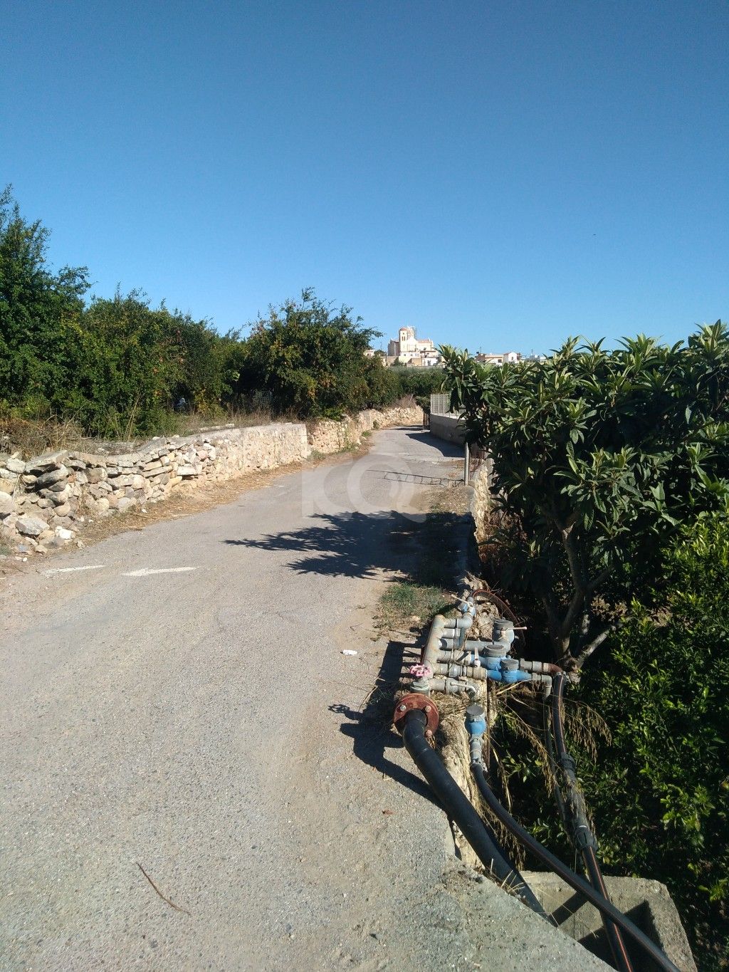 εικόνα αγγελίας