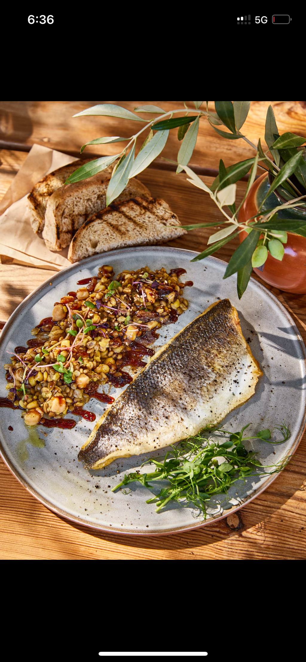 εικόνα αγγελίας