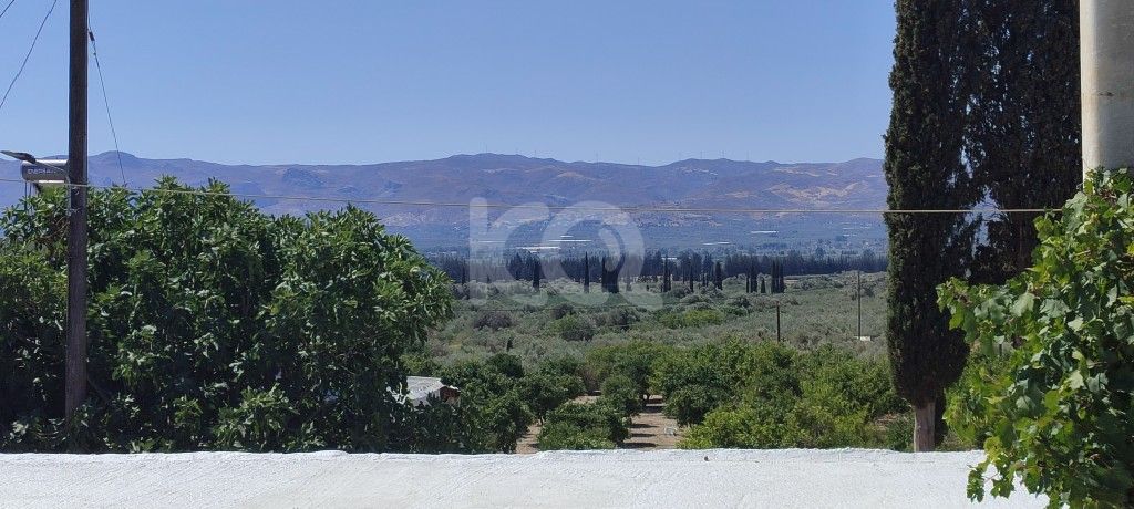 εικόνα αγγελίας