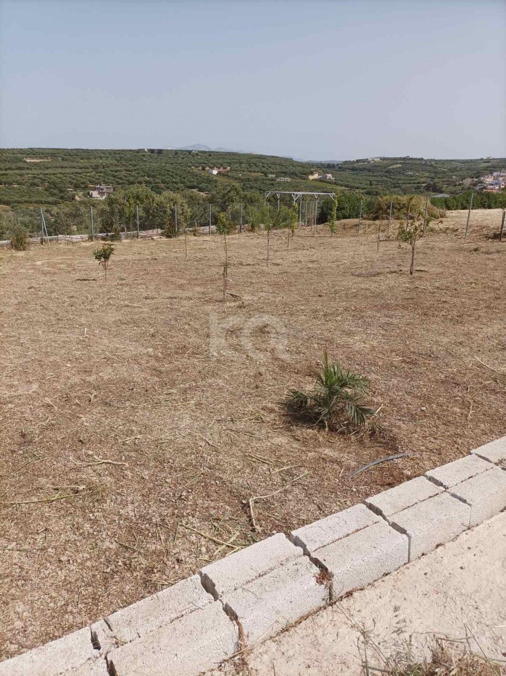 εικόνα αγγελίας