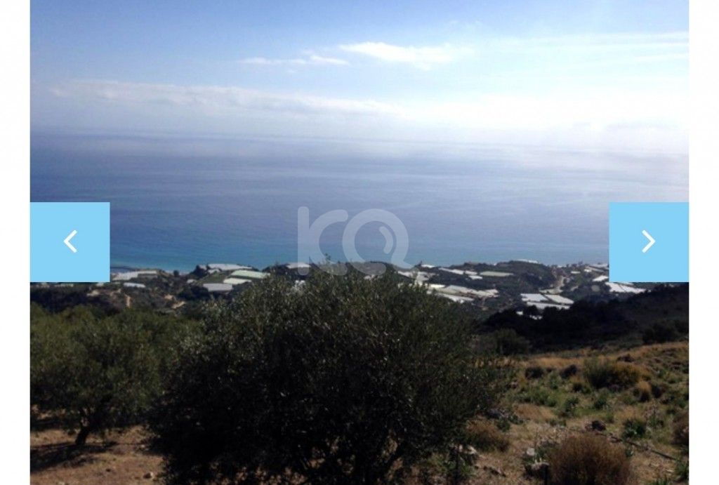 εικόνα αγγελίας