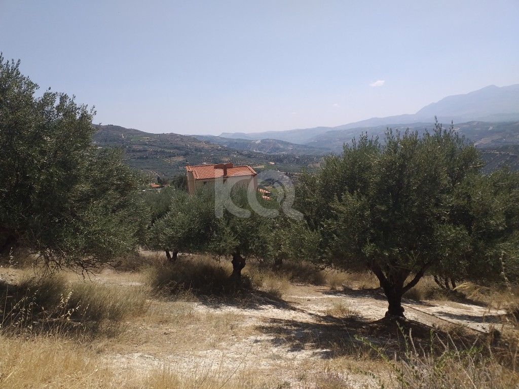 εικόνα αγγελίας