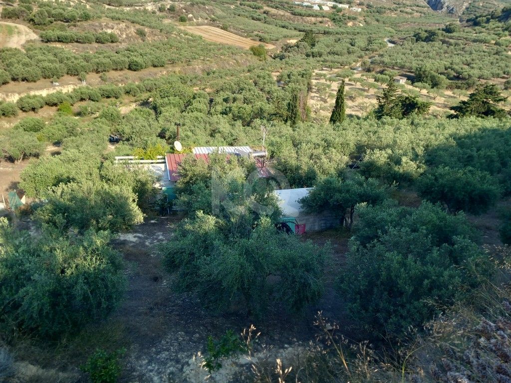 εικόνα αγγελίας