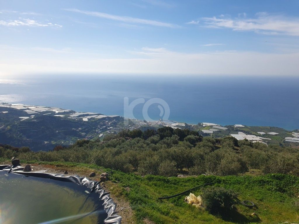 εικόνα αγγελίας