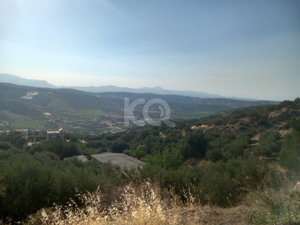 εικόνα αγγελίας