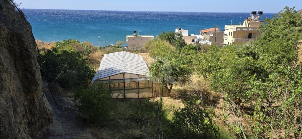 εικόνα αγγελίας