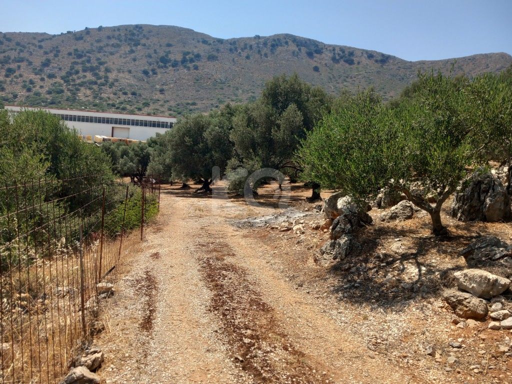 εικόνα αγγελίας