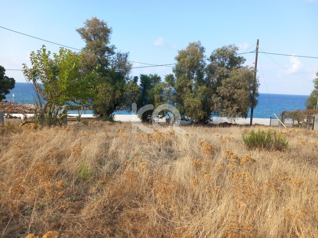 εικόνα αγγελίας