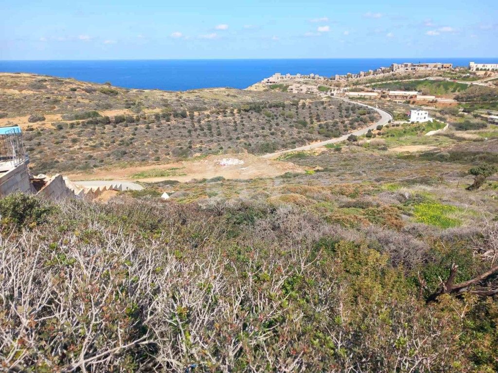 εικόνα αγγελίας