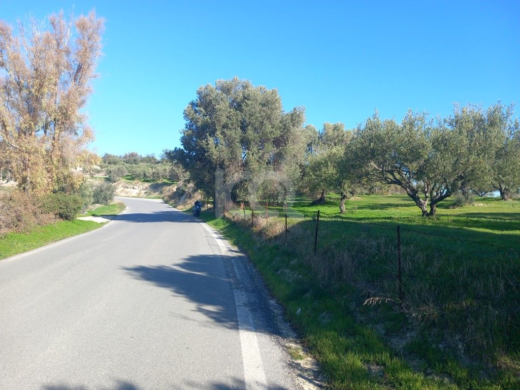 εικόνα αγγελίας