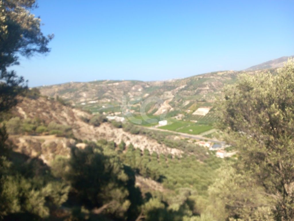 εικόνα αγγελίας