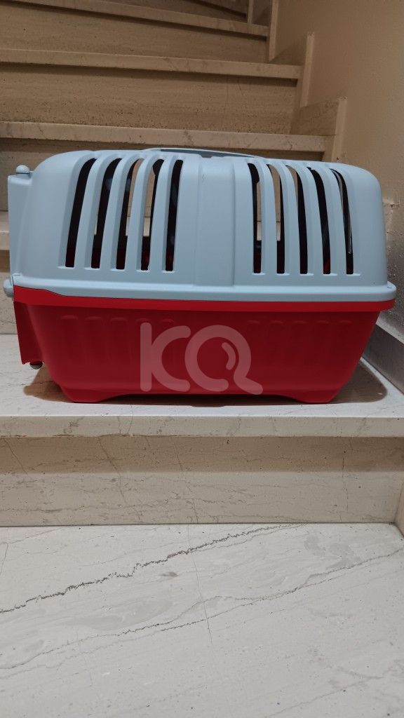 εικόνα αγγελίας