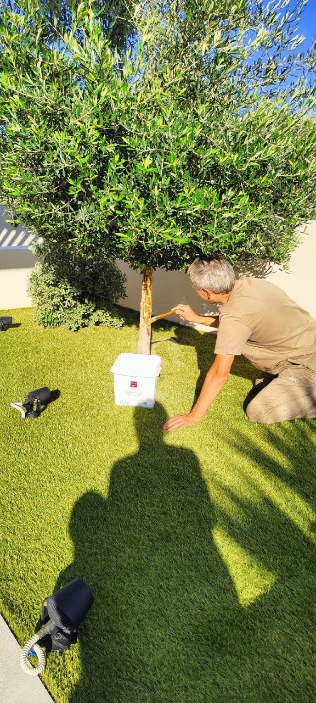 εικόνα αγγελίας