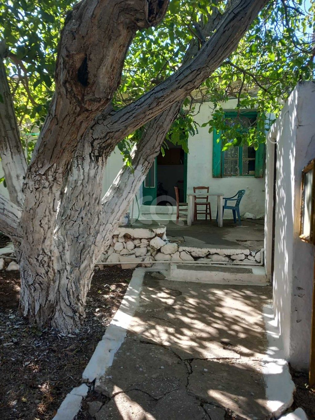 εικόνα αγγελίας