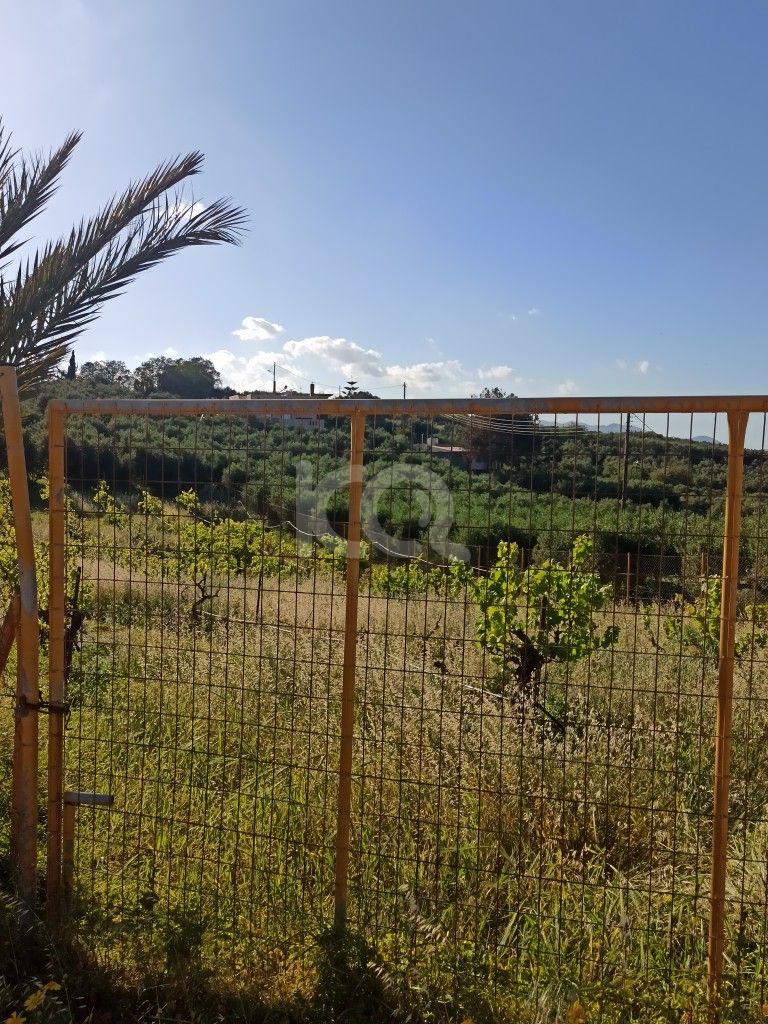 εικόνα αγγελίας