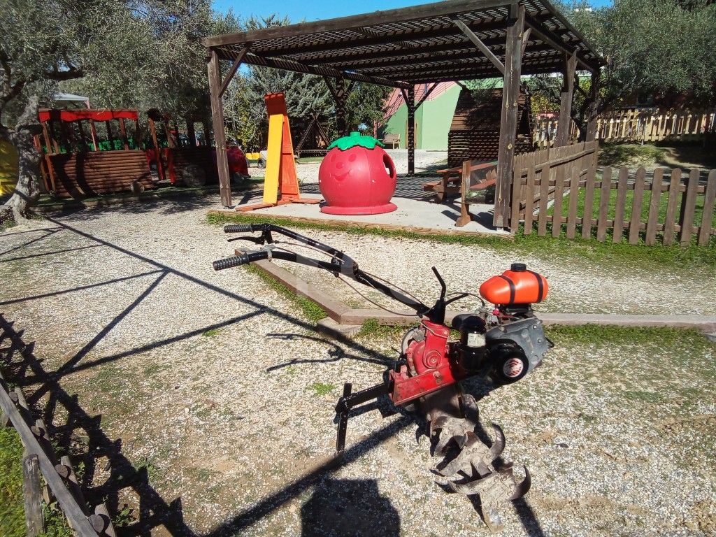 εικόνα αγγελίας