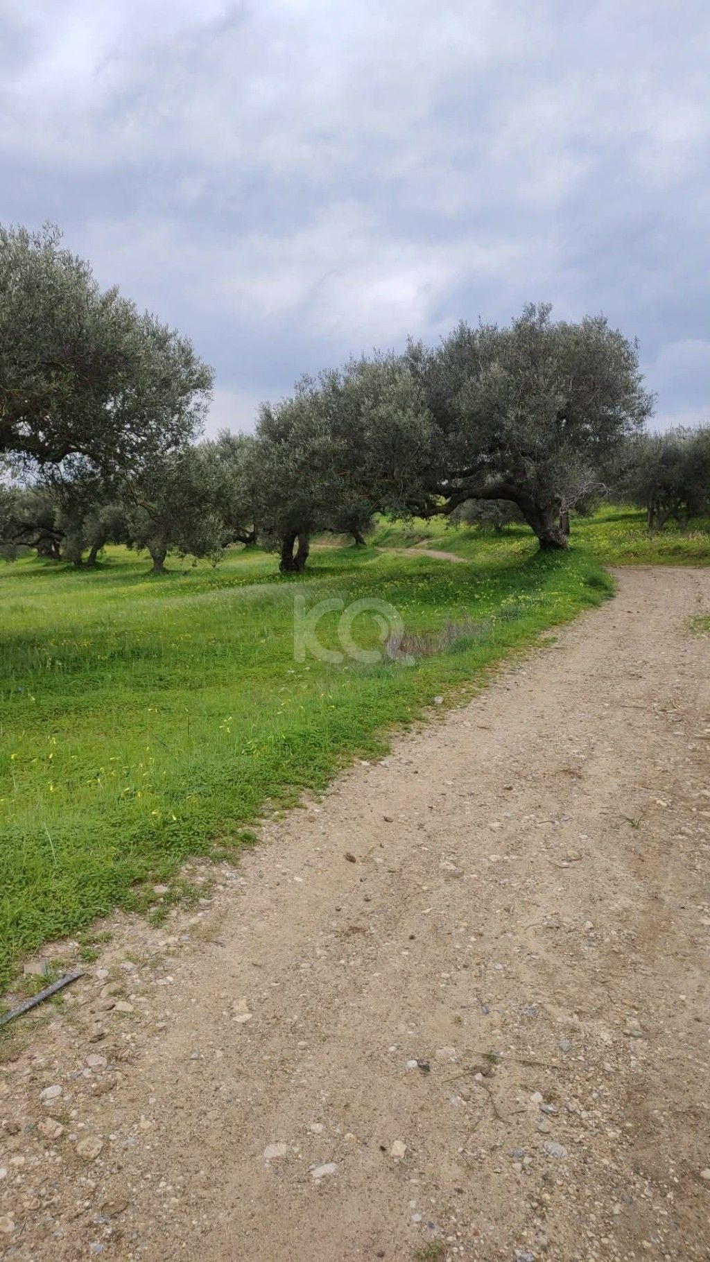 εικόνα αγγελίας