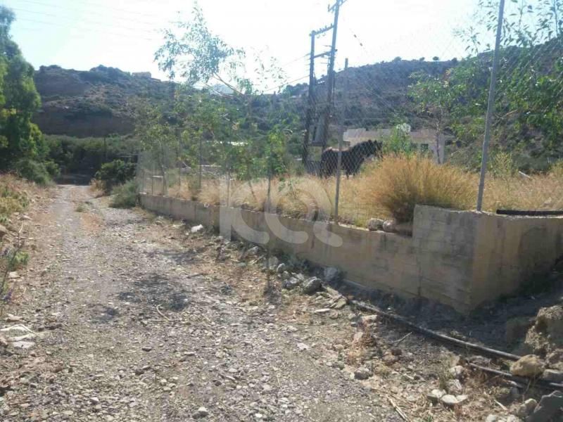 εικόνα αγγελίας