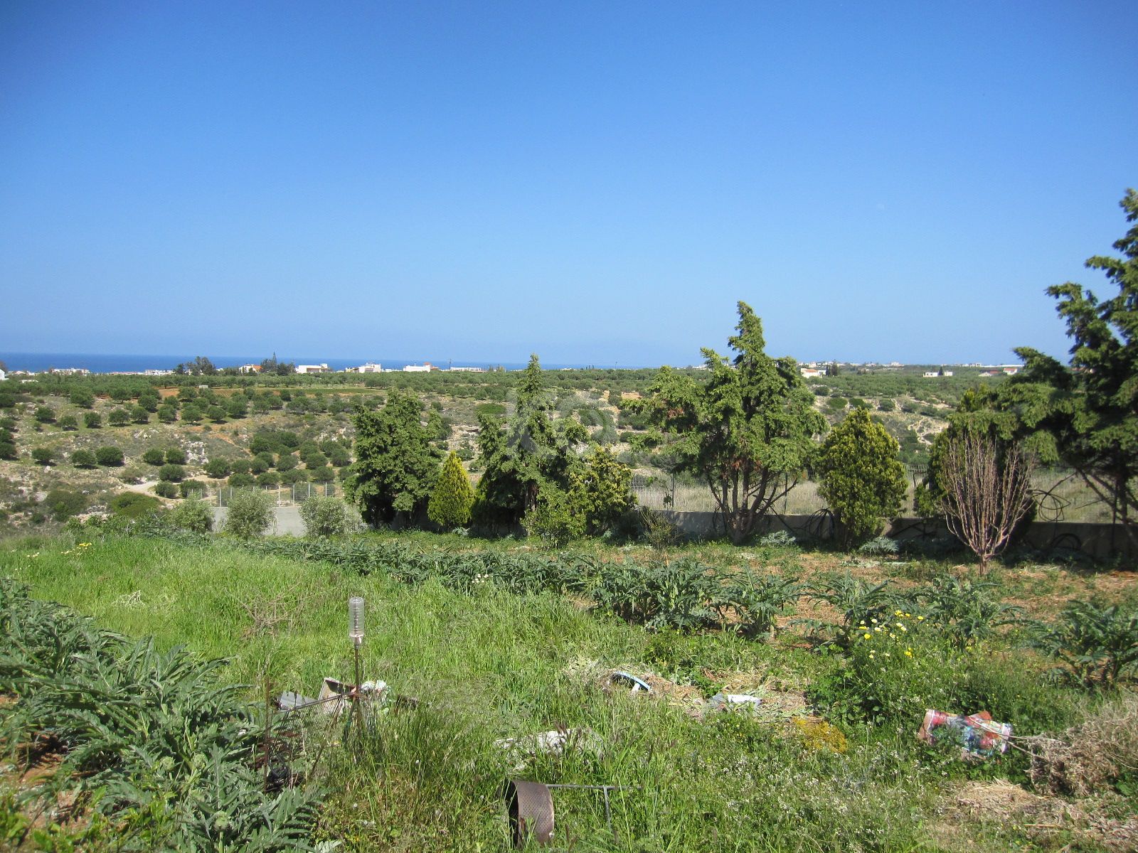 εικόνα αγγελίας