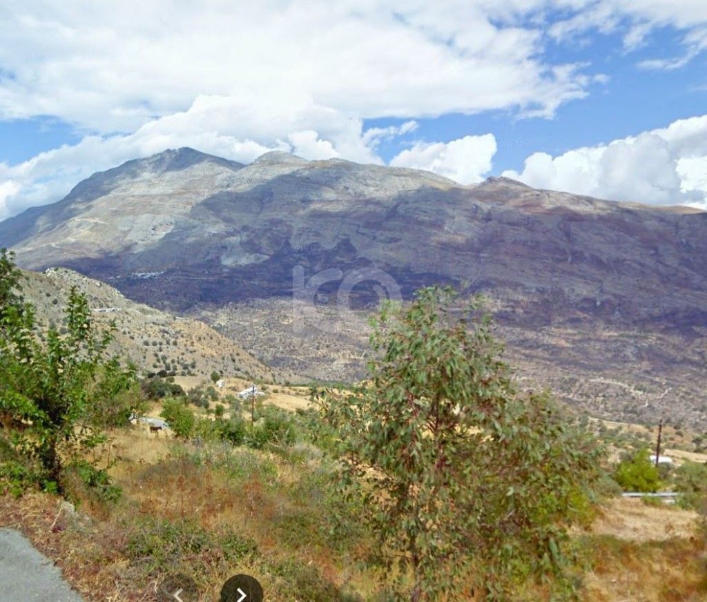 εικόνα αγγελίας