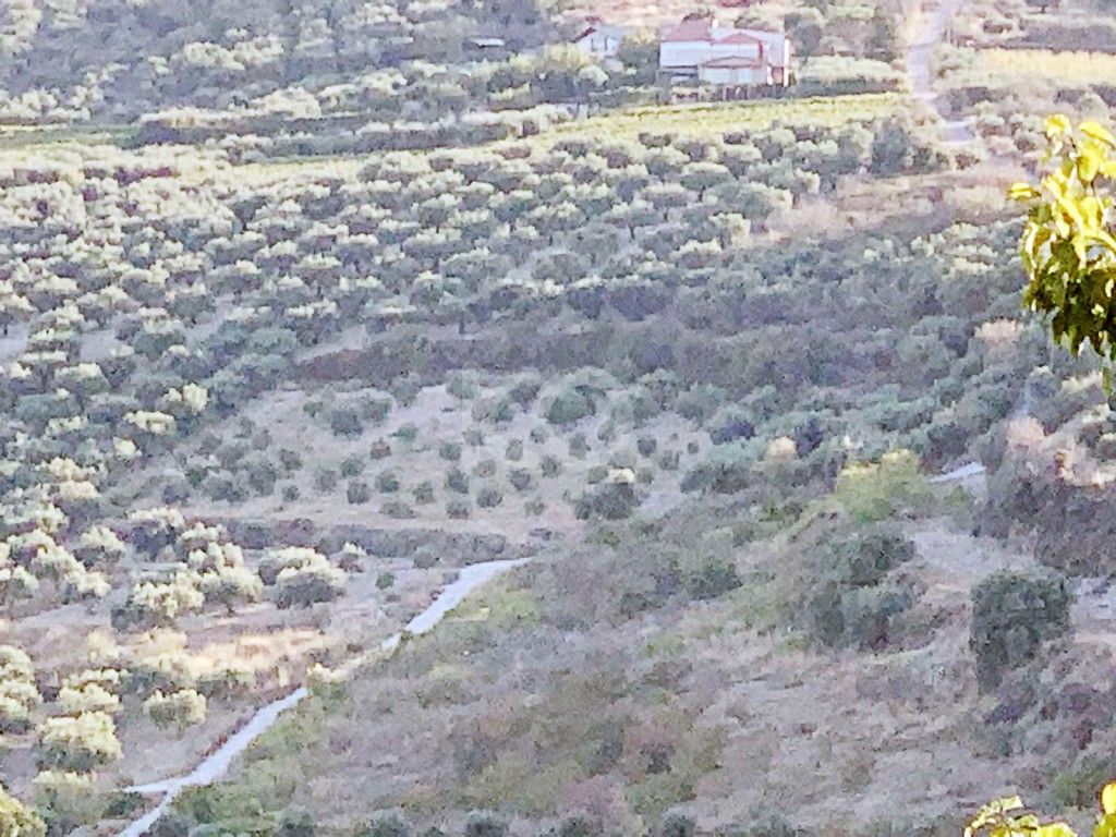 εικόνα αγγελίας