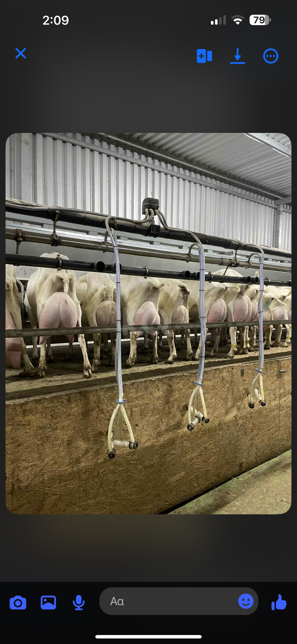 εικόνα αγγελίας