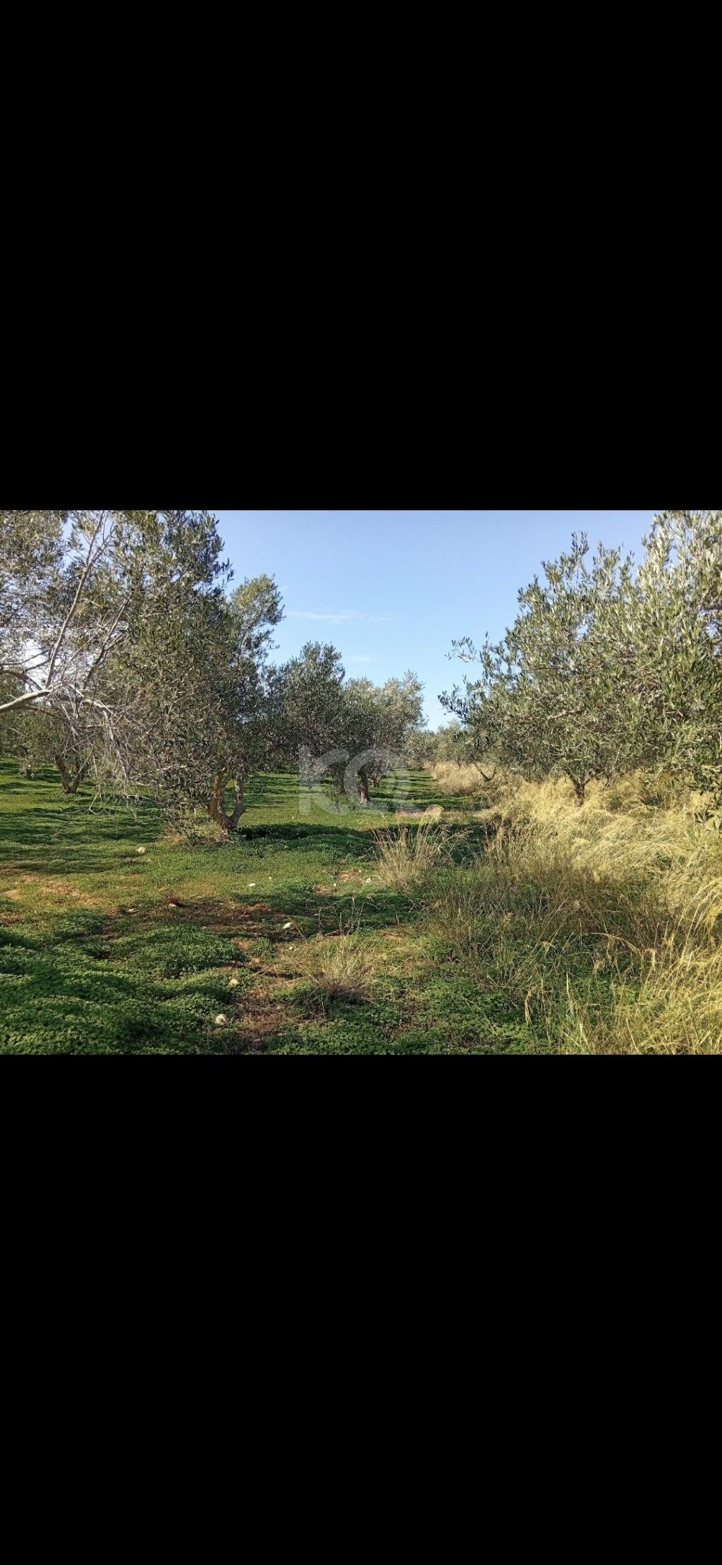 εικόνα αγγελίας