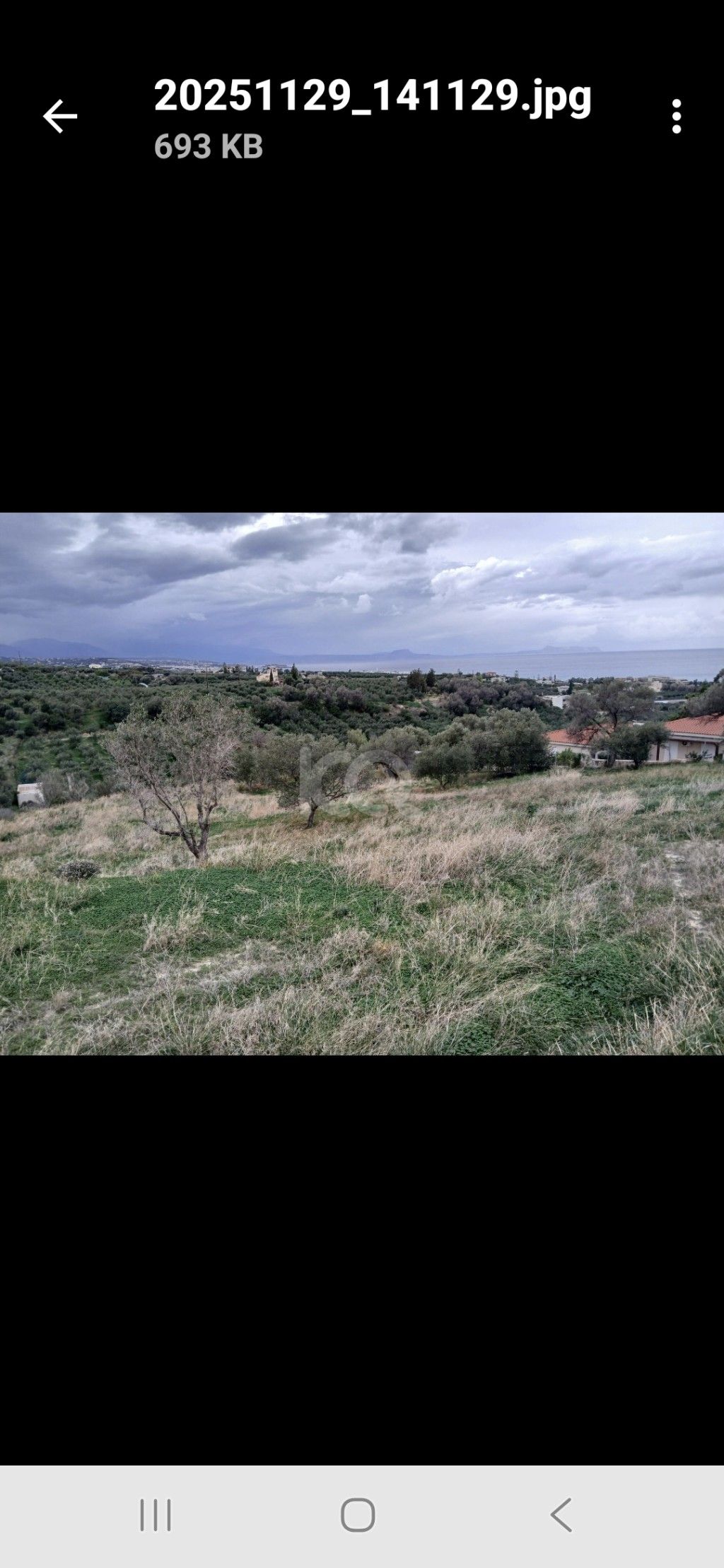 εικόνα αγγελίας