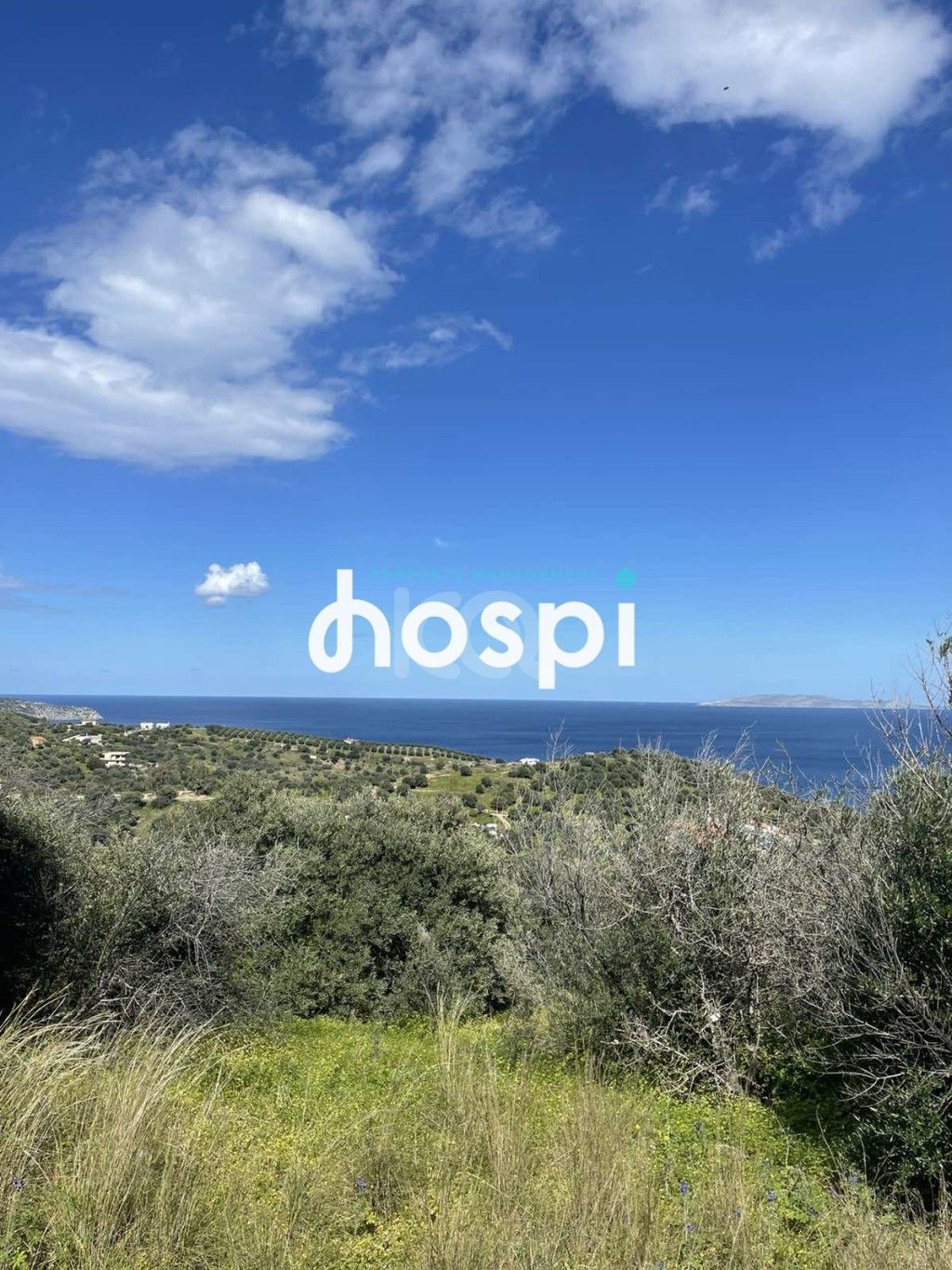 εικόνα αγγελίας