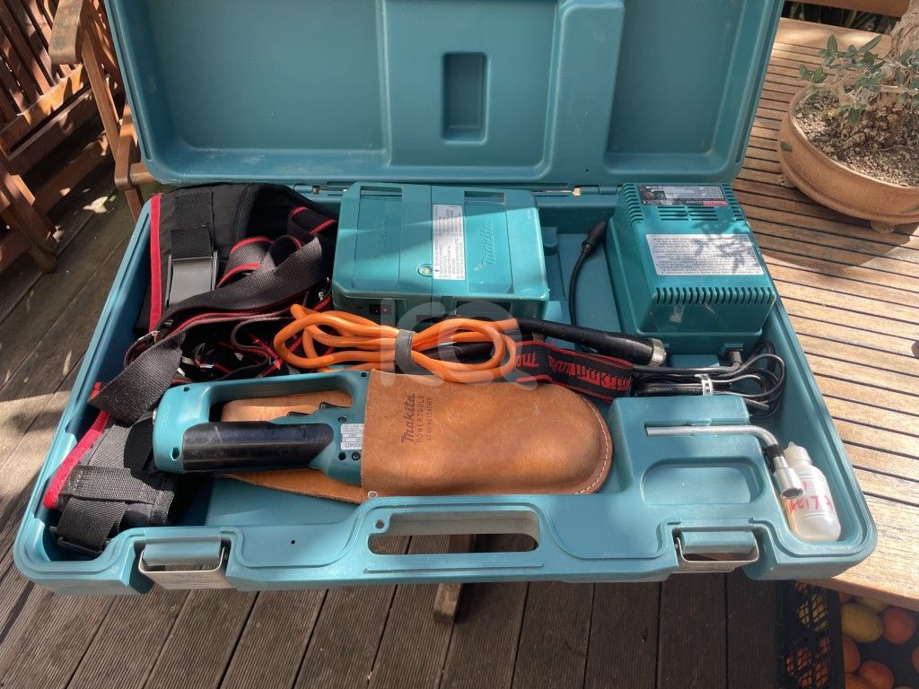 εικόνα αγγελίας