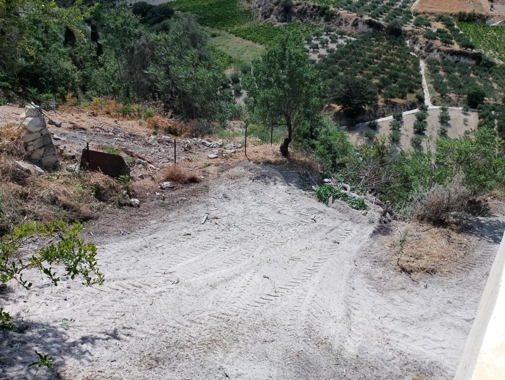εικόνα αγγελίας