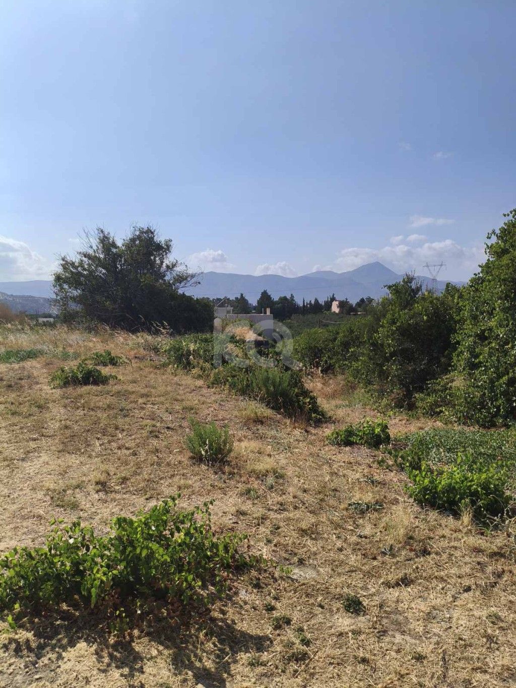 εικόνα αγγελίας