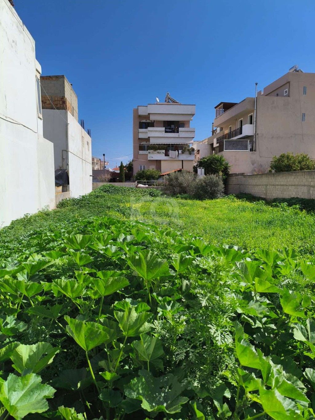 εικόνα αγγελίας
