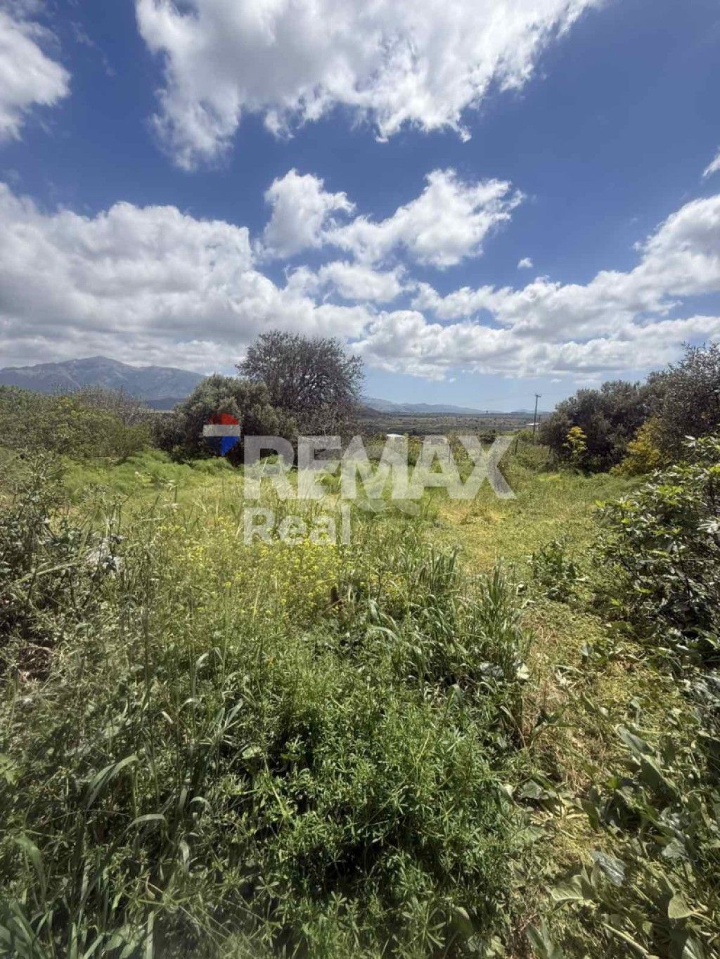 εικόνα αγγελίας