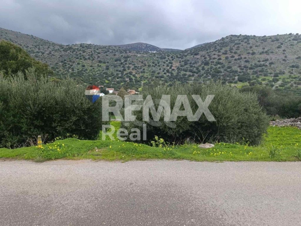 εικόνα αγγελίας