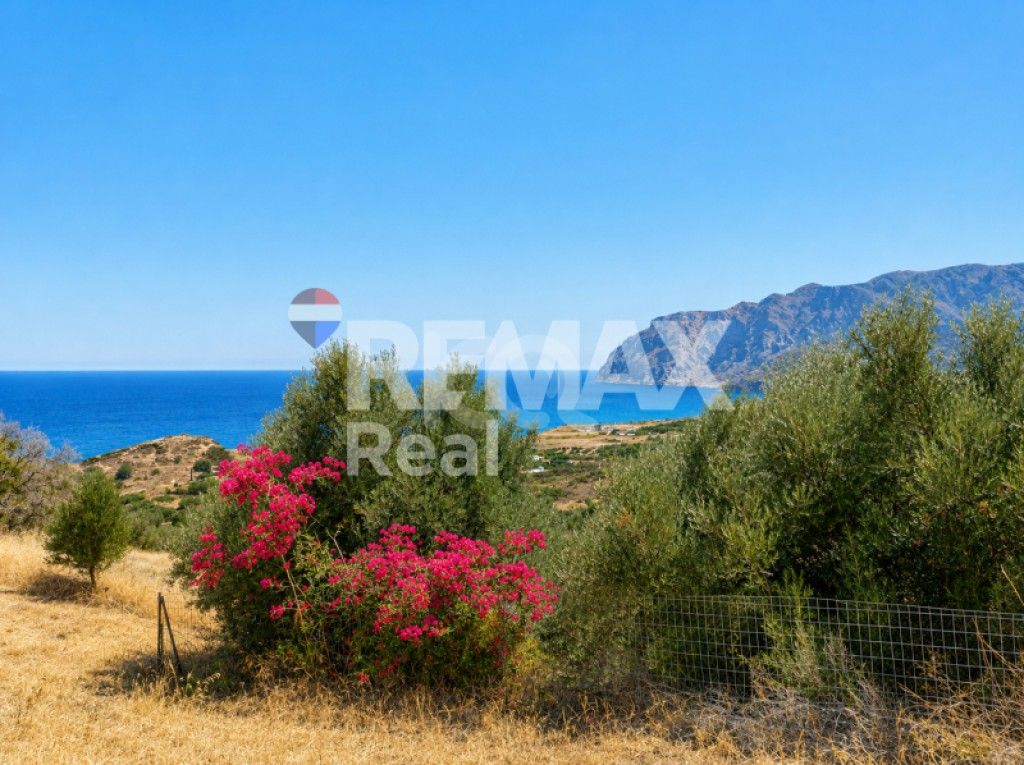εικόνα αγγελίας
