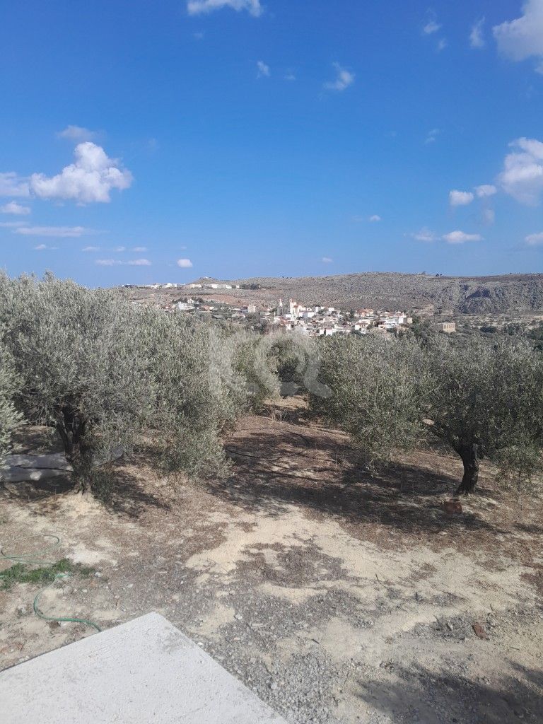 εικόνα αγγελίας