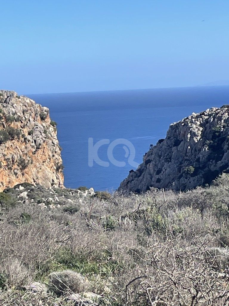 εικόνα αγγελίας