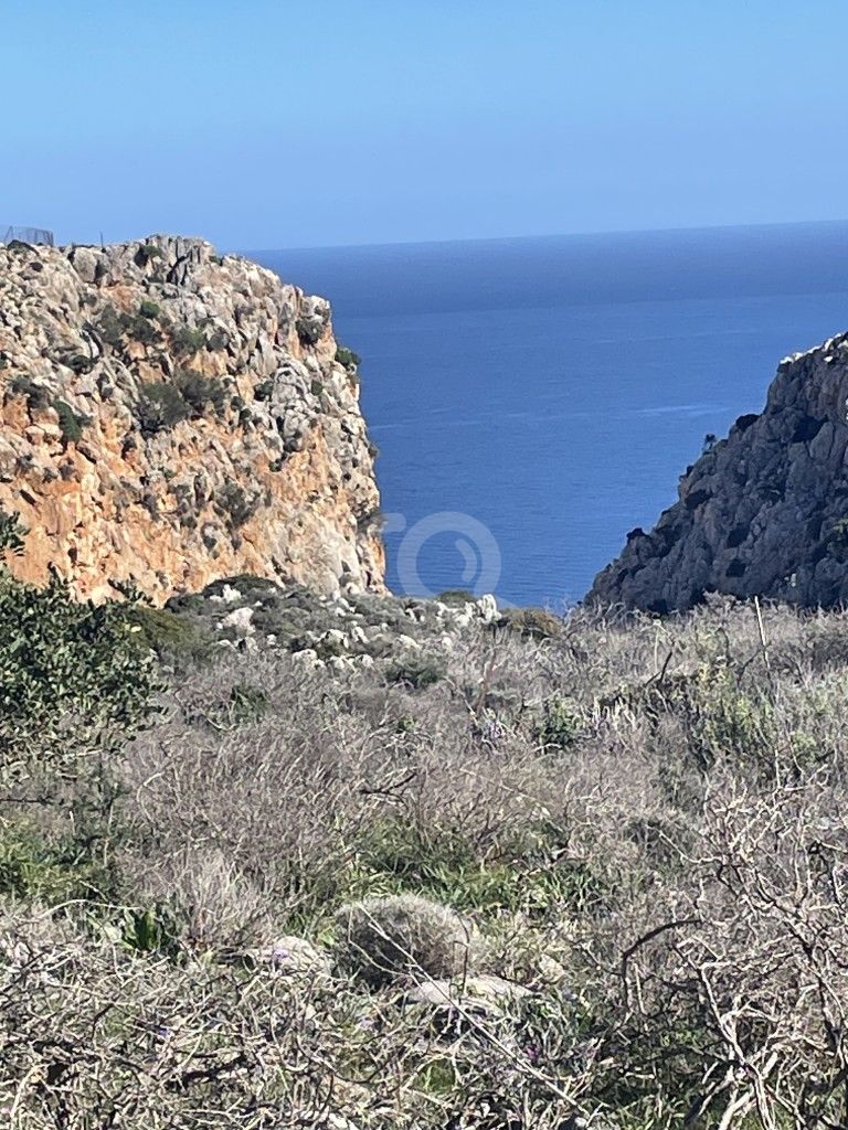 εικόνα αγγελίας