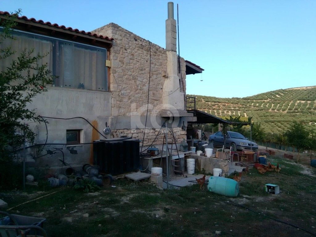 εικόνα αγγελίας