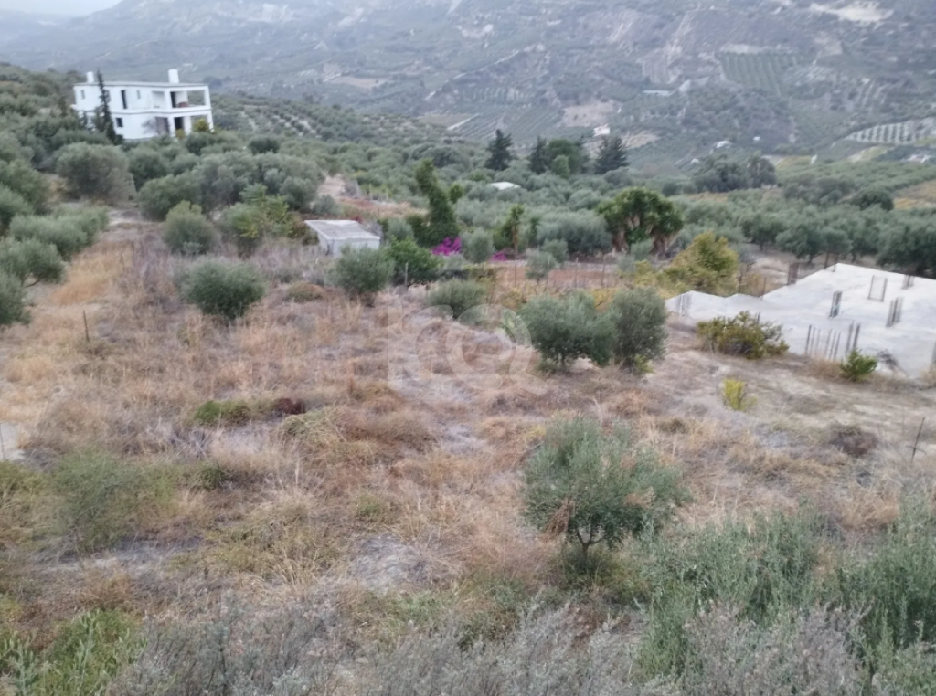 εικόνα αγγελίας