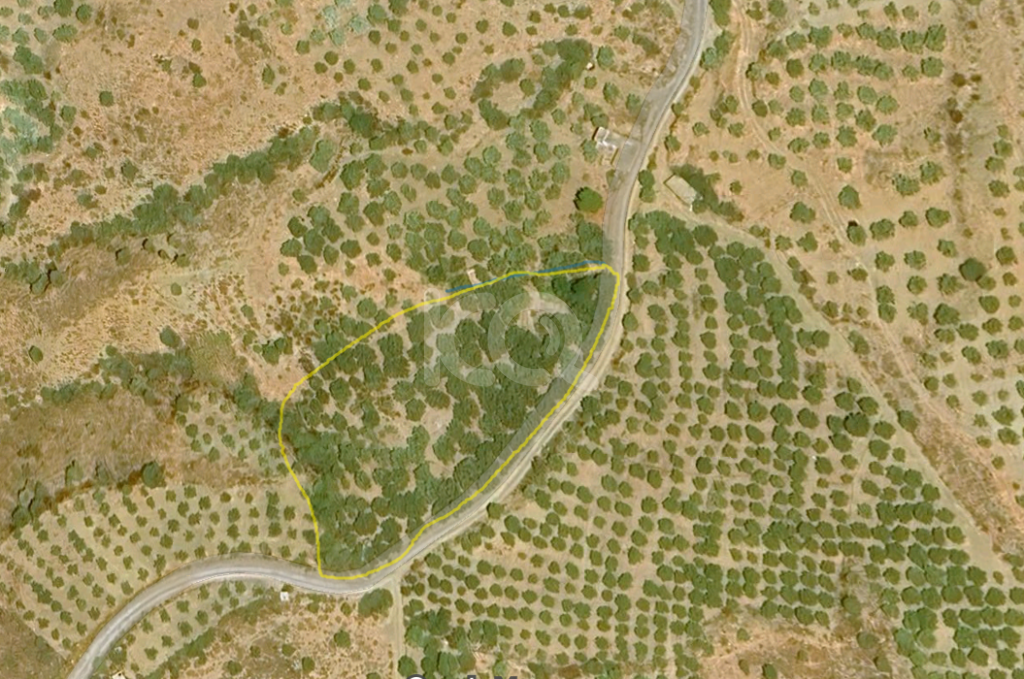 εικόνα αγγελίας