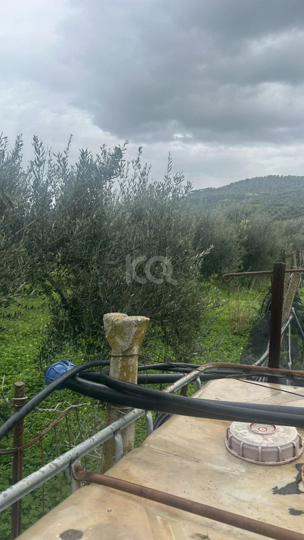 εικόνα αγγελίας