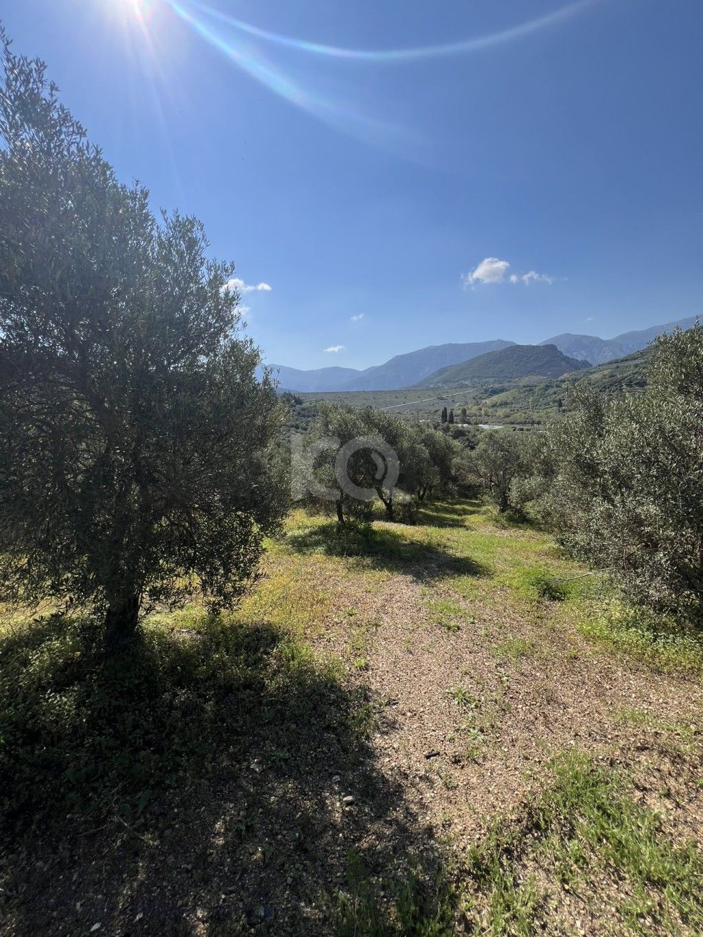 εικόνα αγγελίας