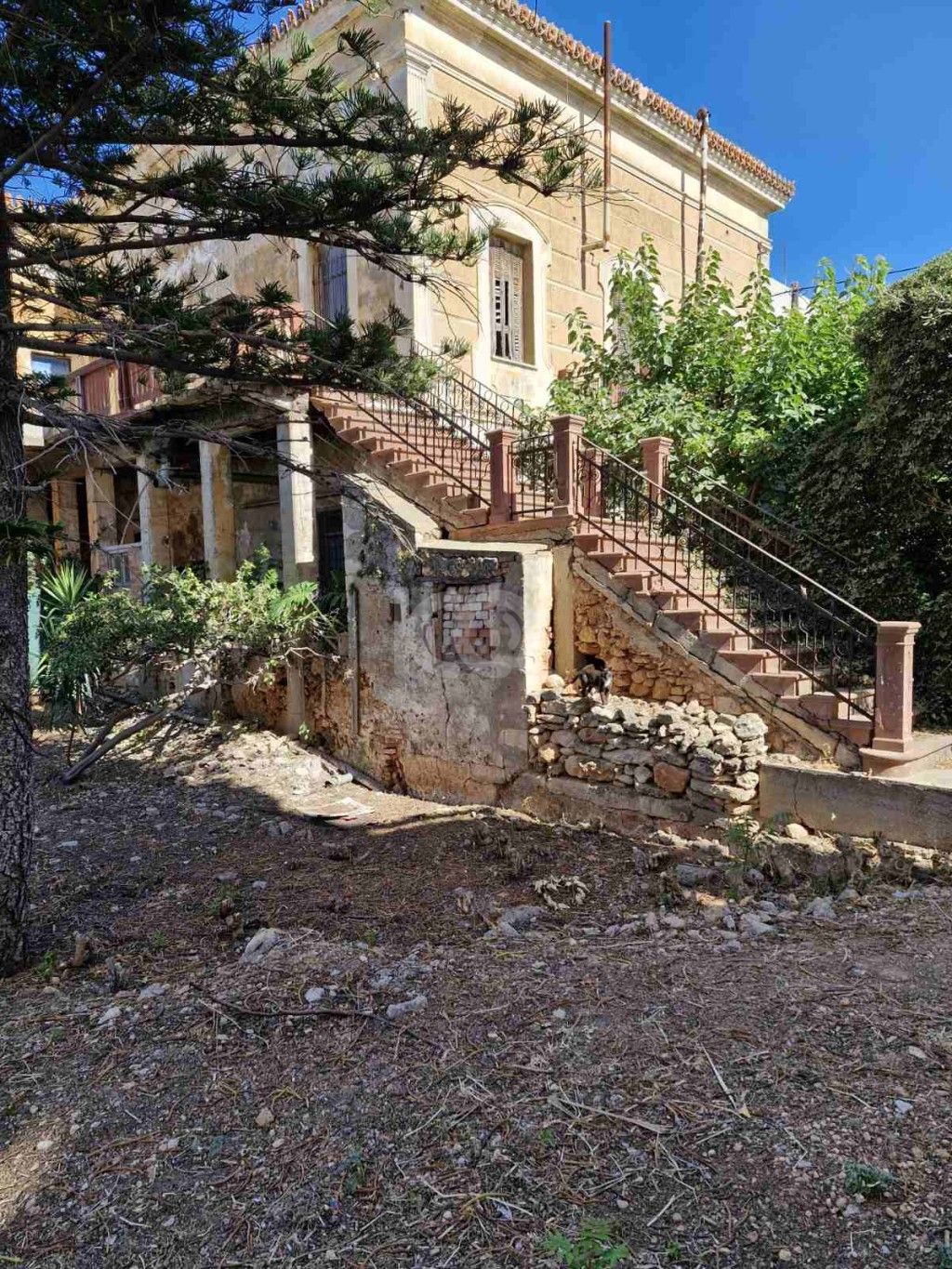 εικόνα αγγελίας