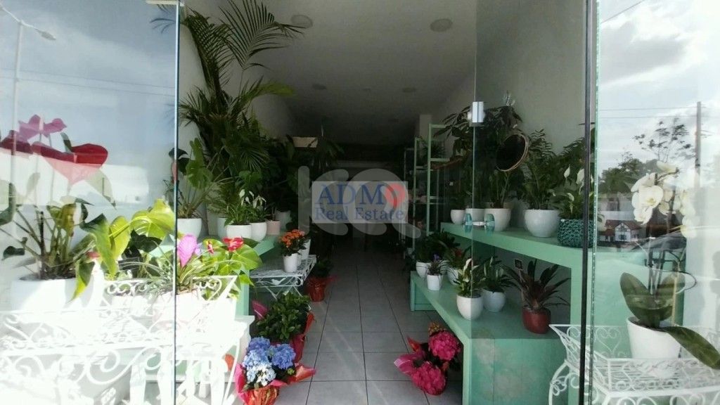 εικόνα αγγελίας