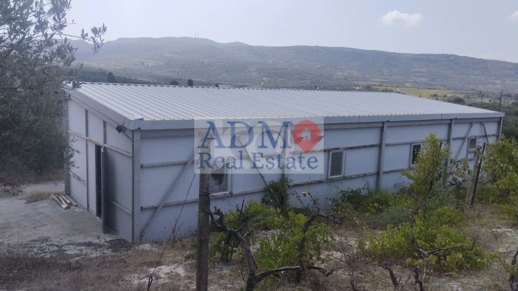 εικόνα αγγελίας