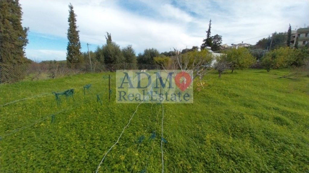 εικόνα αγγελίας